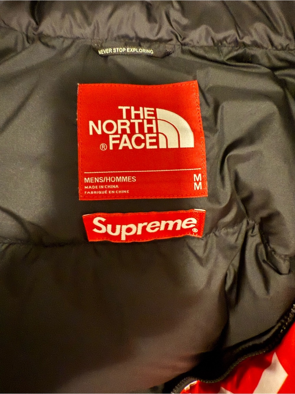 Supreme x The North Face Jacket Brand New - Picture 3 of 3